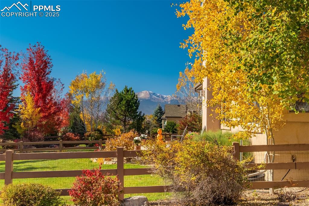 Image 47 of 50: Other