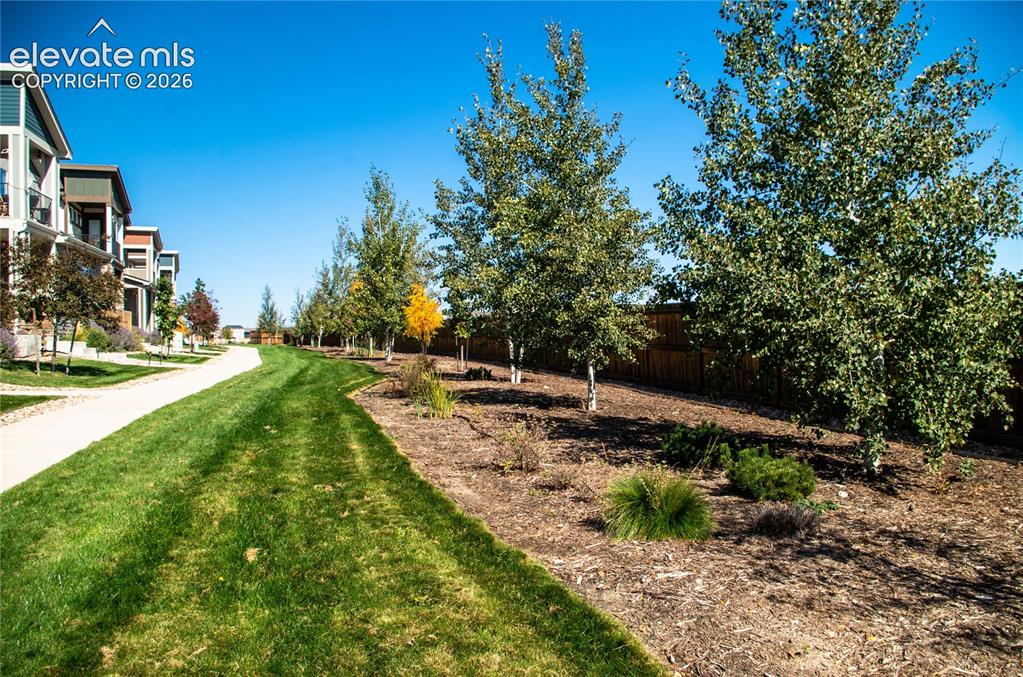 Image 3 of 20: HOA cared for greenway