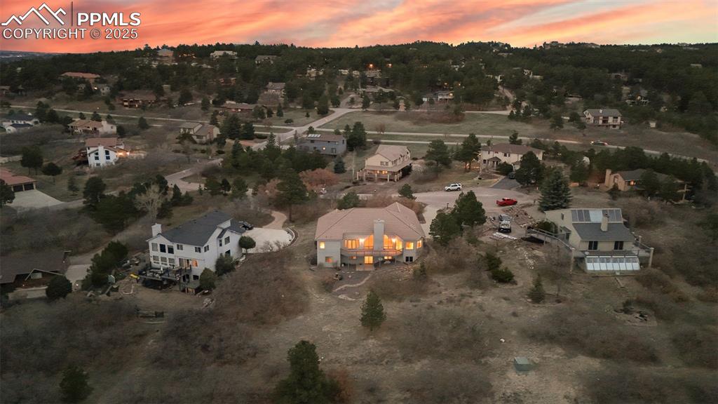 Image 47 of 48: Bird