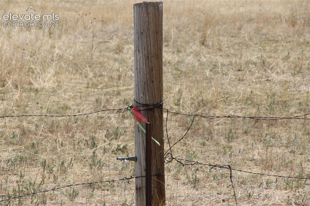 Image 4 of 9: Other