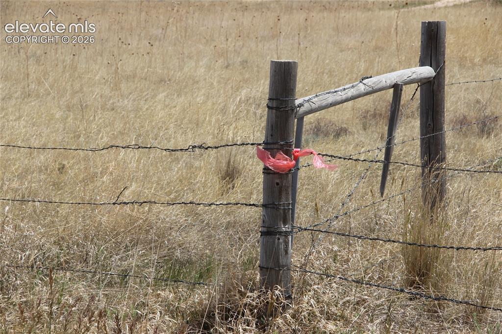 Image 5 of 9: Other