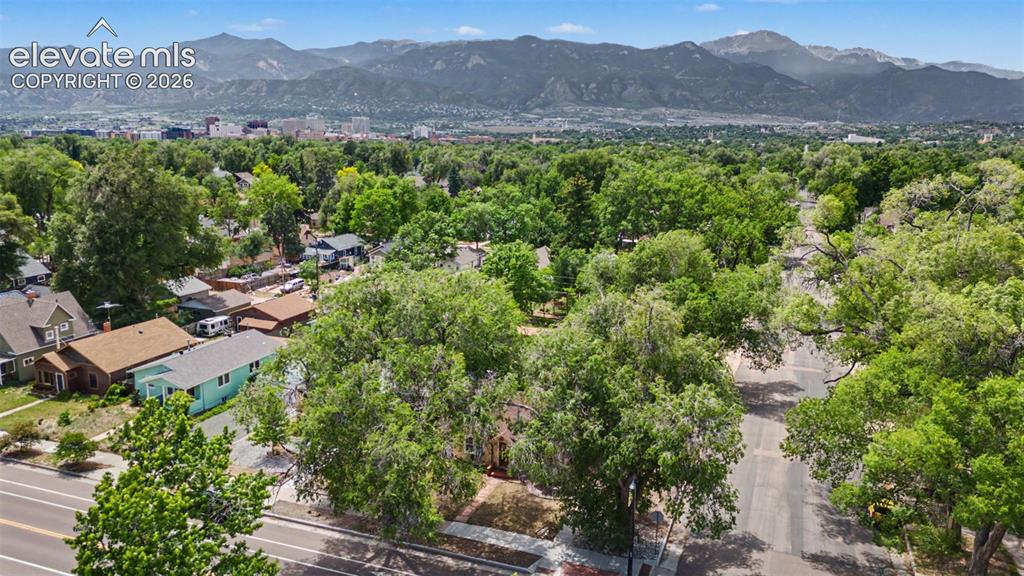 Image 4 of 37: Mature treescape surrounding residential properties