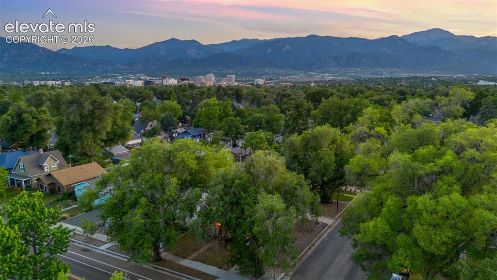 Image 5 of 37: Tree-lined residential area with mountain backdrop and distant urban skylin