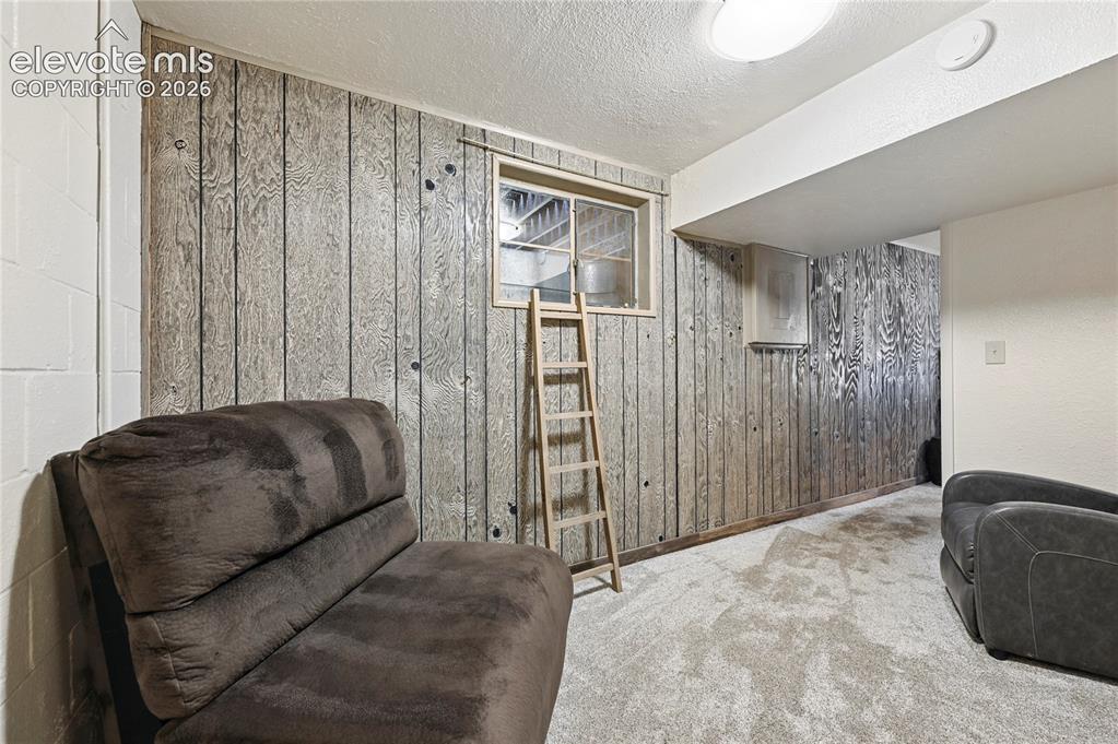 Image 17 of 50: Wall paneling with a wood-finish, light-colored carpet, and a ceiling-mount