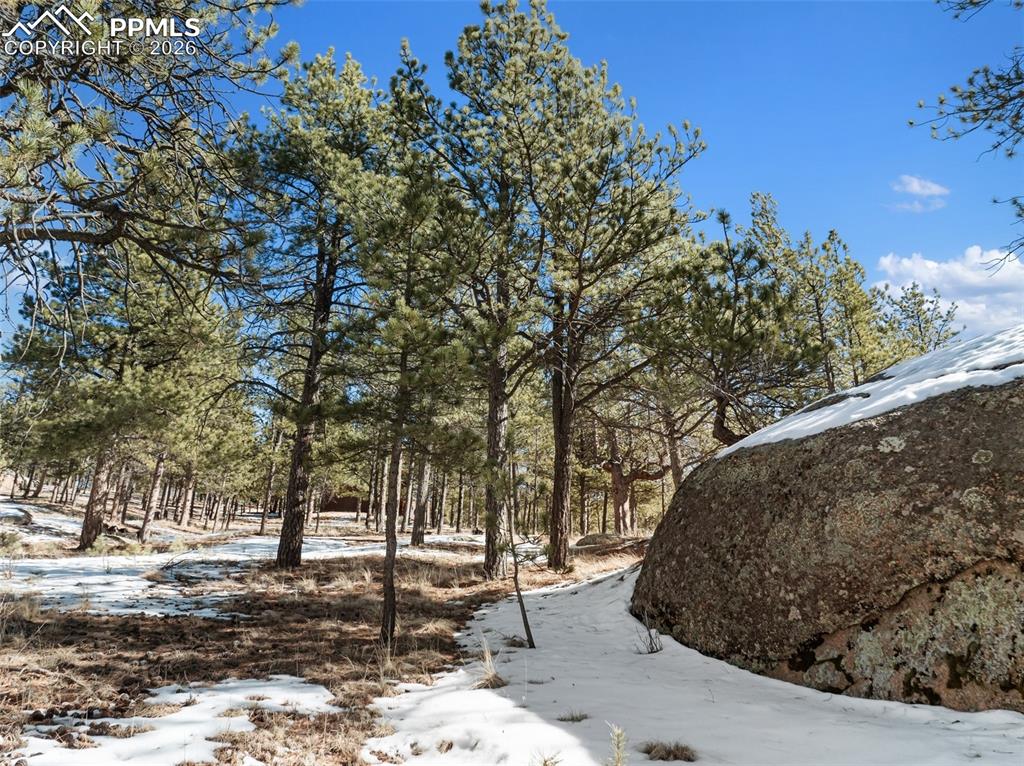 Image 34 of 37: Yard