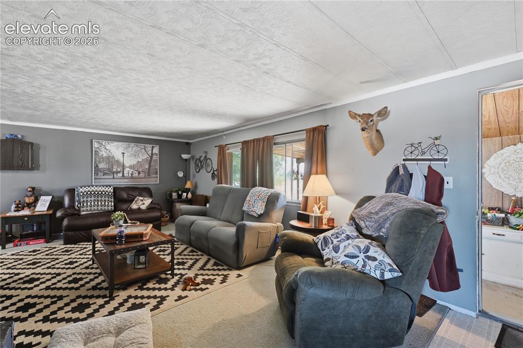 Image 17 of 28: Living Room