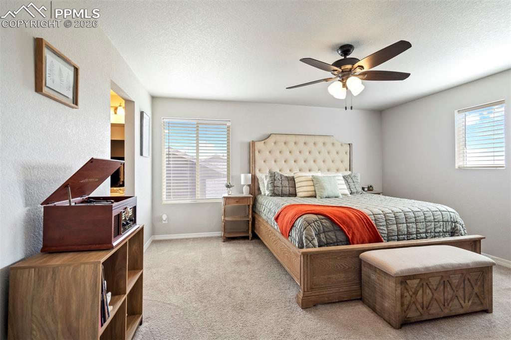 Image 24 of 46: Carpeted room featuring light-toned walls, a ceiling fan with light fixture