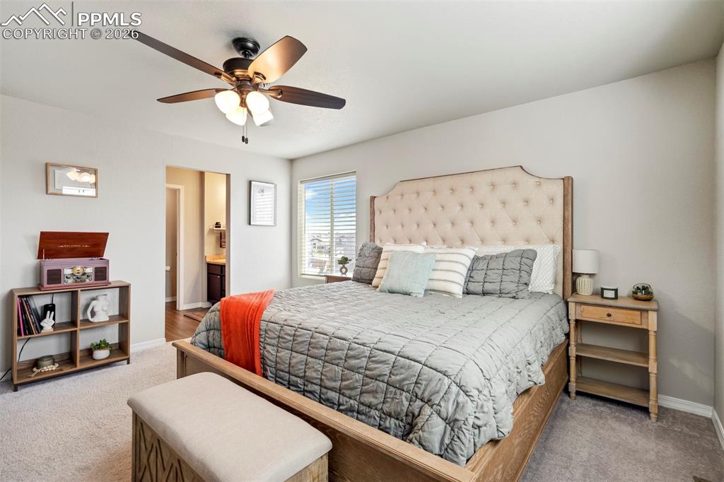 Image 25 of 46: Spacious bedroom featuring light neutral wall tones, carpet flooring, a cei