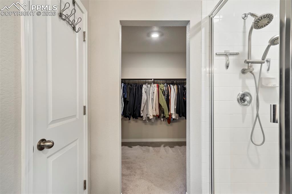 Image 29 of 46: Walk-in closet with carpet flooring and overhead lighting