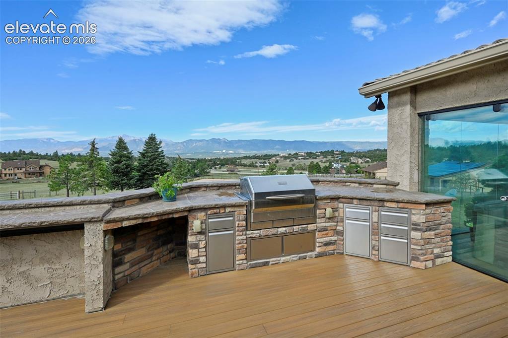 Image 10 of 50: High End built-in grill, with stainless steel cabinets