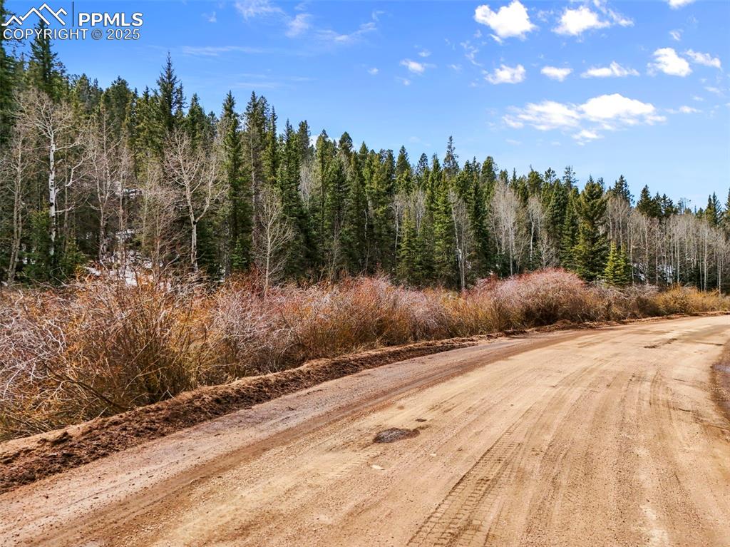 Image 2 of 16: Community