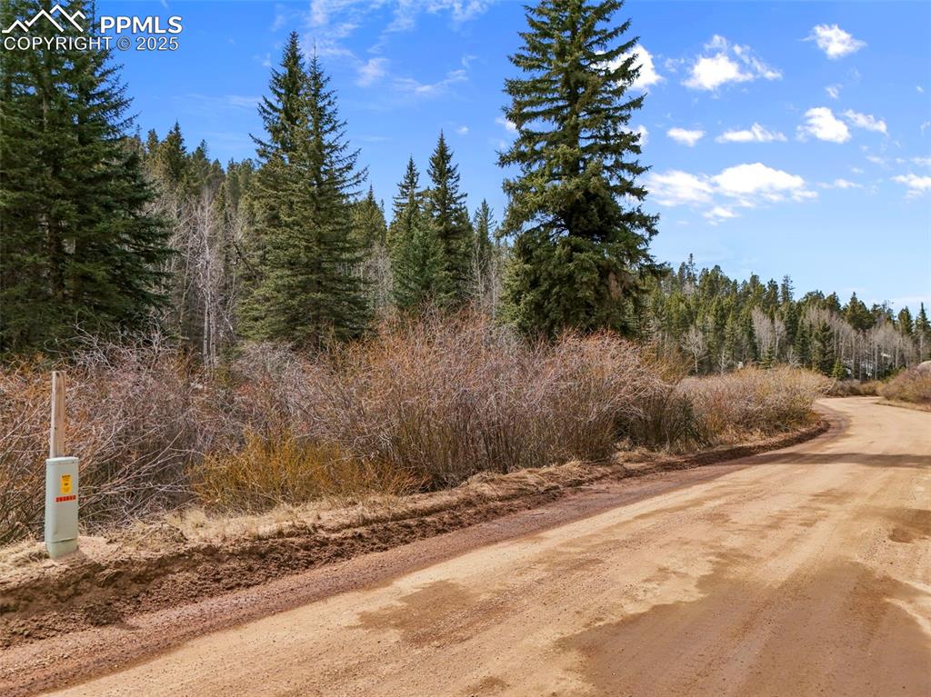 Image 4 of 16: Community