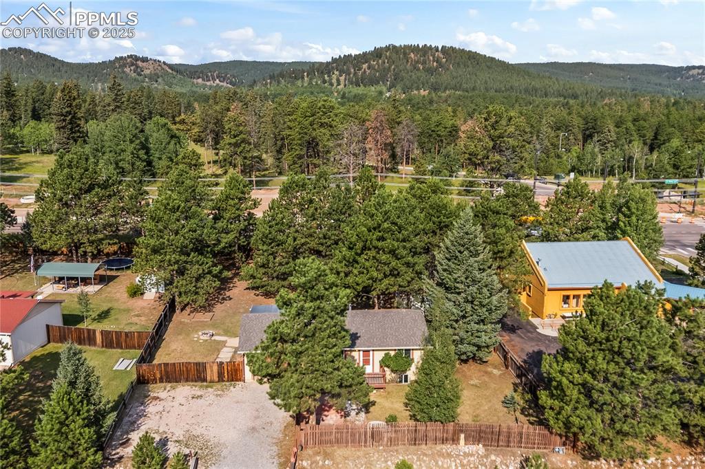 Image 32 of 36: Aerial view of a forest and a mountain backdrop