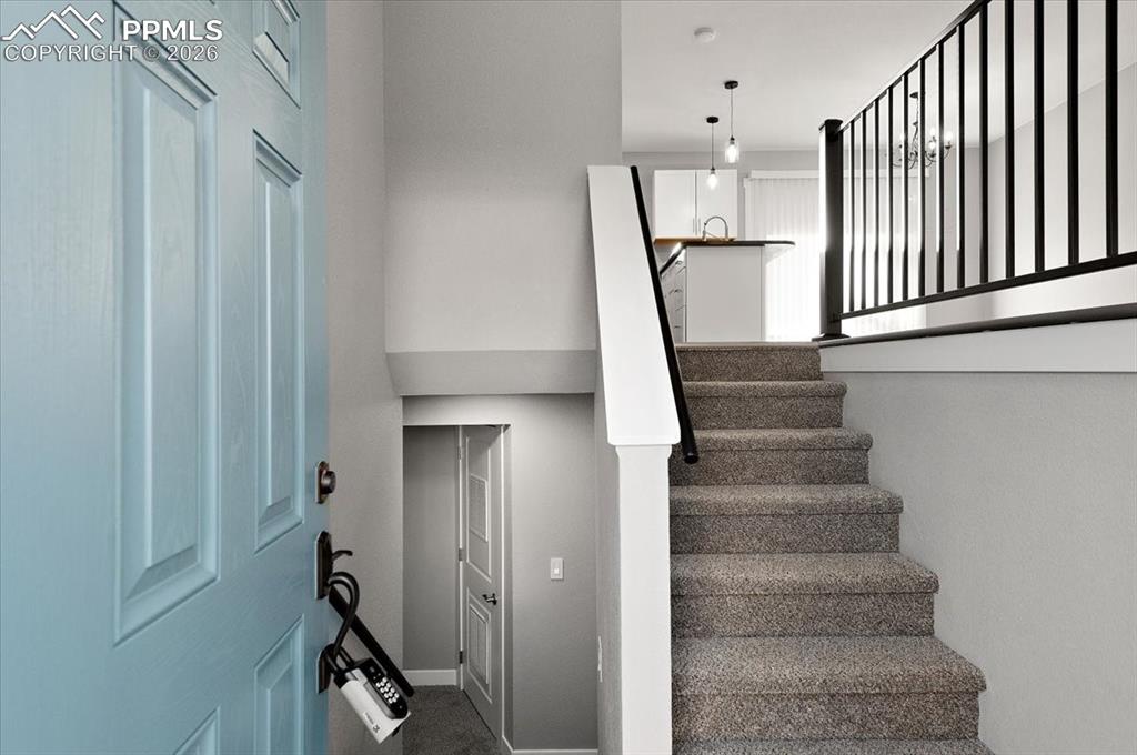 Image 6 of 42: Other