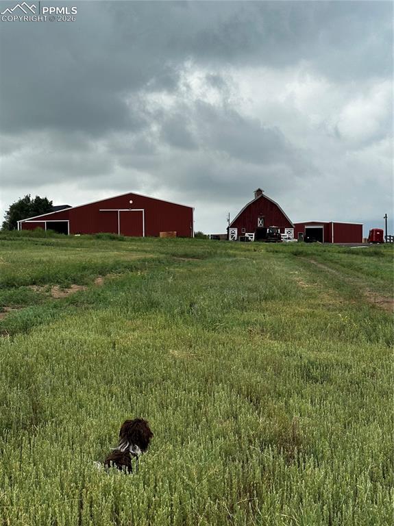 Image 45 of 50: Yard