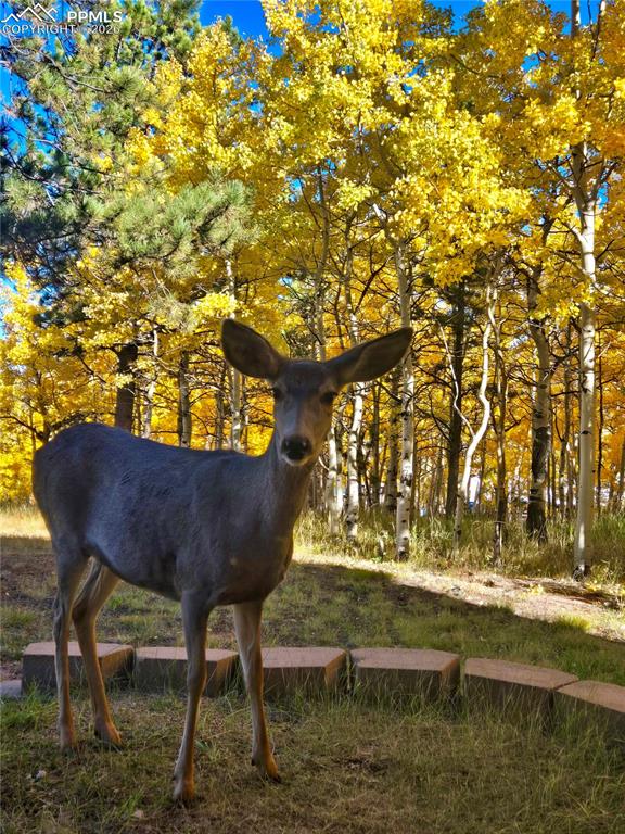 Image 38 of 50: Other