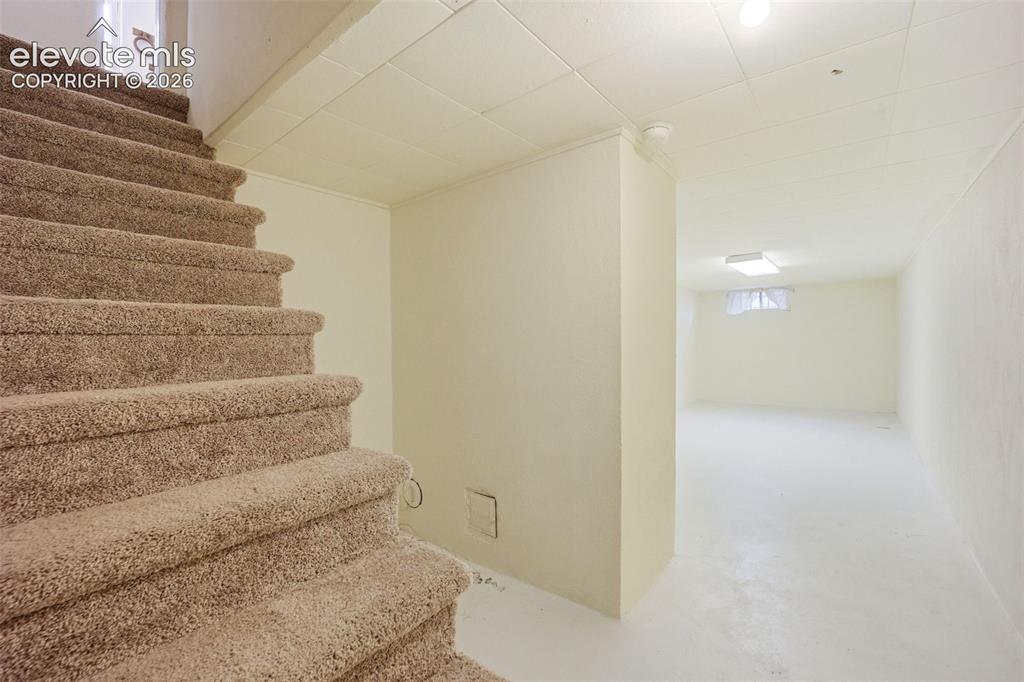 Image 22 of 46: Carpeted staircase descending into a finished lower level