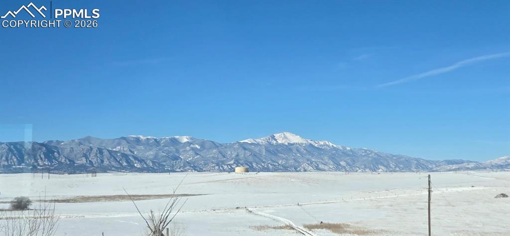 Image 39 of 39: A winter wonderland!