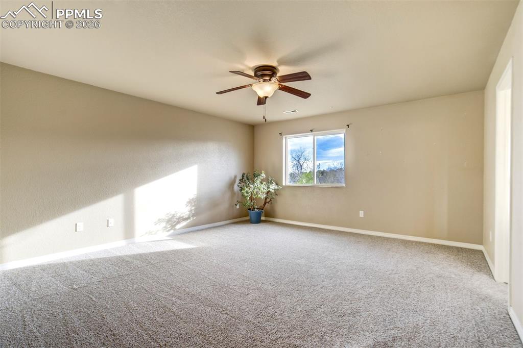 Image 14 of 50: Other