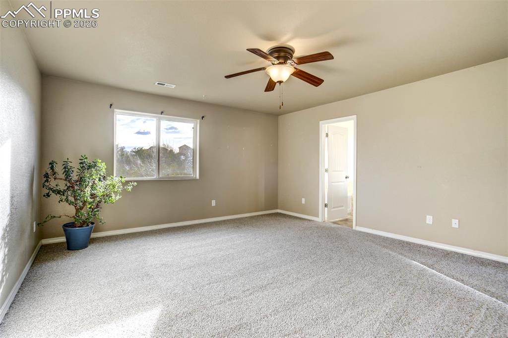 Image 15 of 50: Other