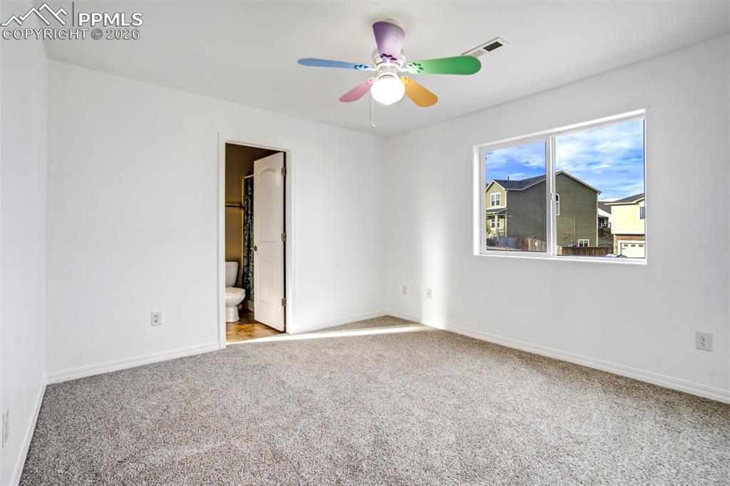 Image 20 of 50: Other