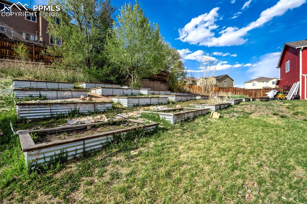 Image 37 of 50: Yard