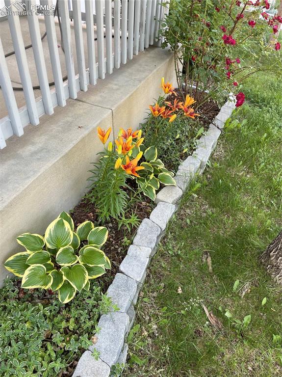 Image 28 of 31: Other