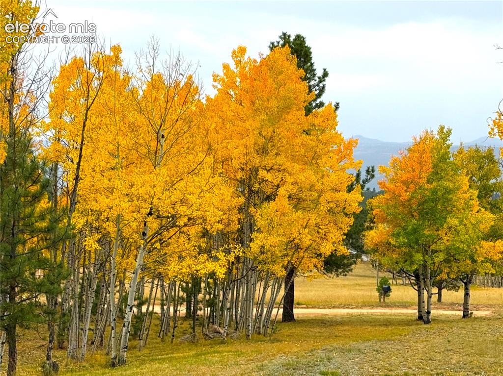 Image 3 of 40: Additional content
