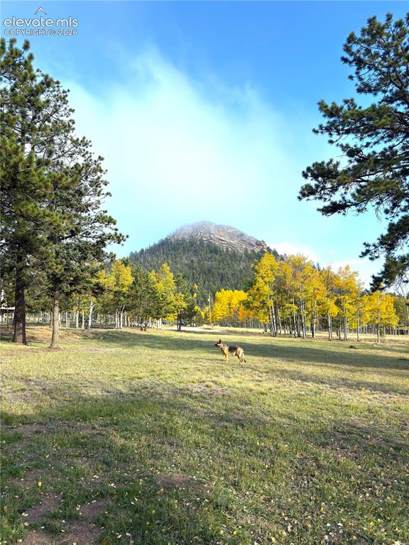 Image 36 of 40: Crystal Peak