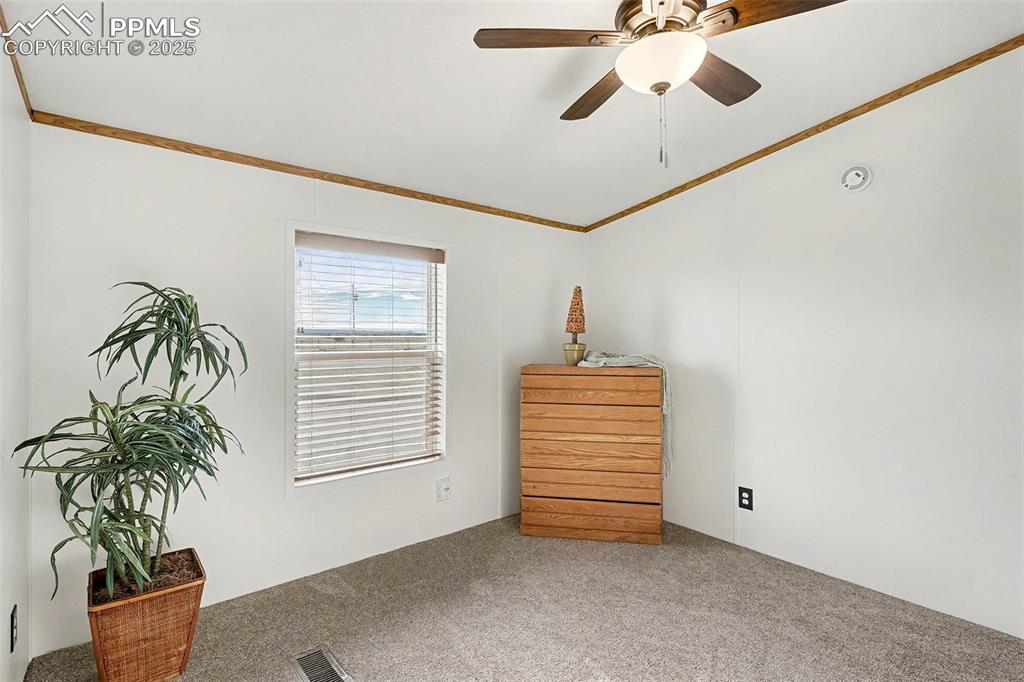 Image 10 of 15: New carpet in secondary bedroom