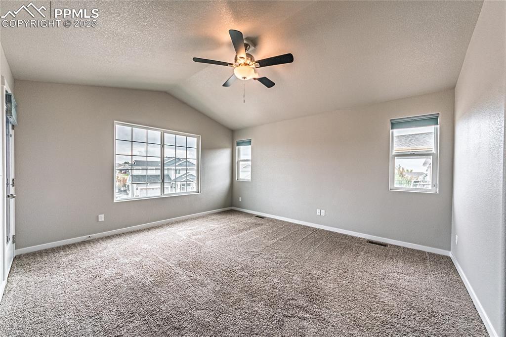 Image 31 of 41: Other