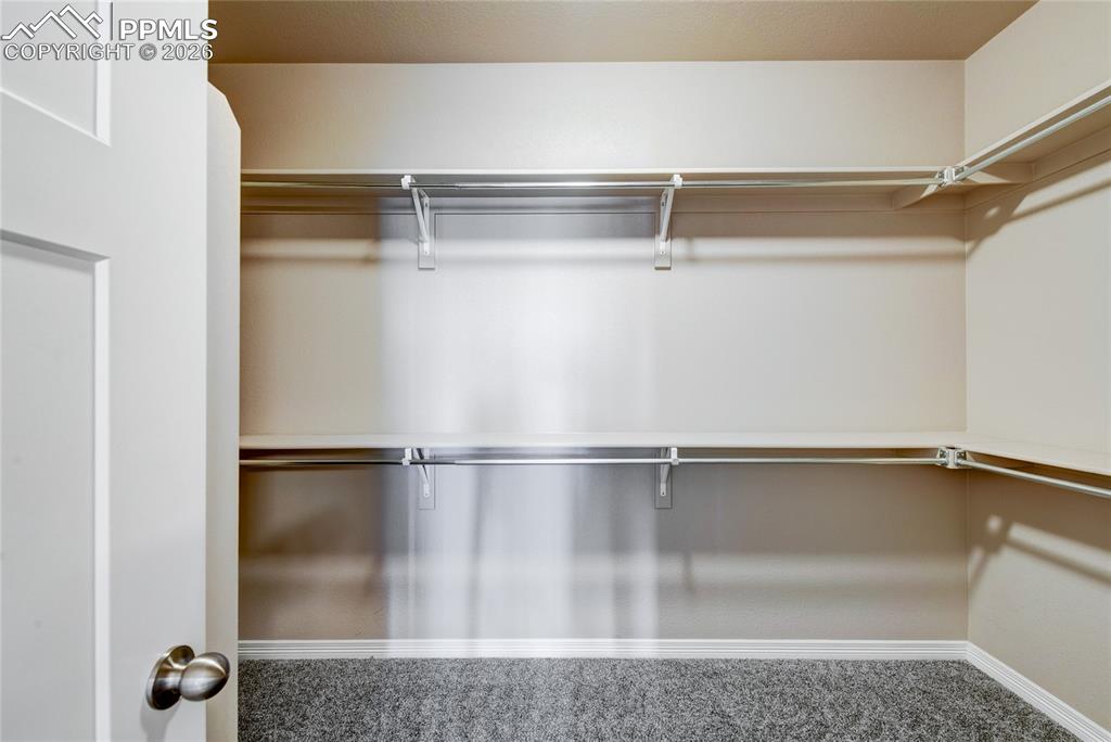 Image 19 of 36: The property features a closet with white walls, grey carpet, and built-in 