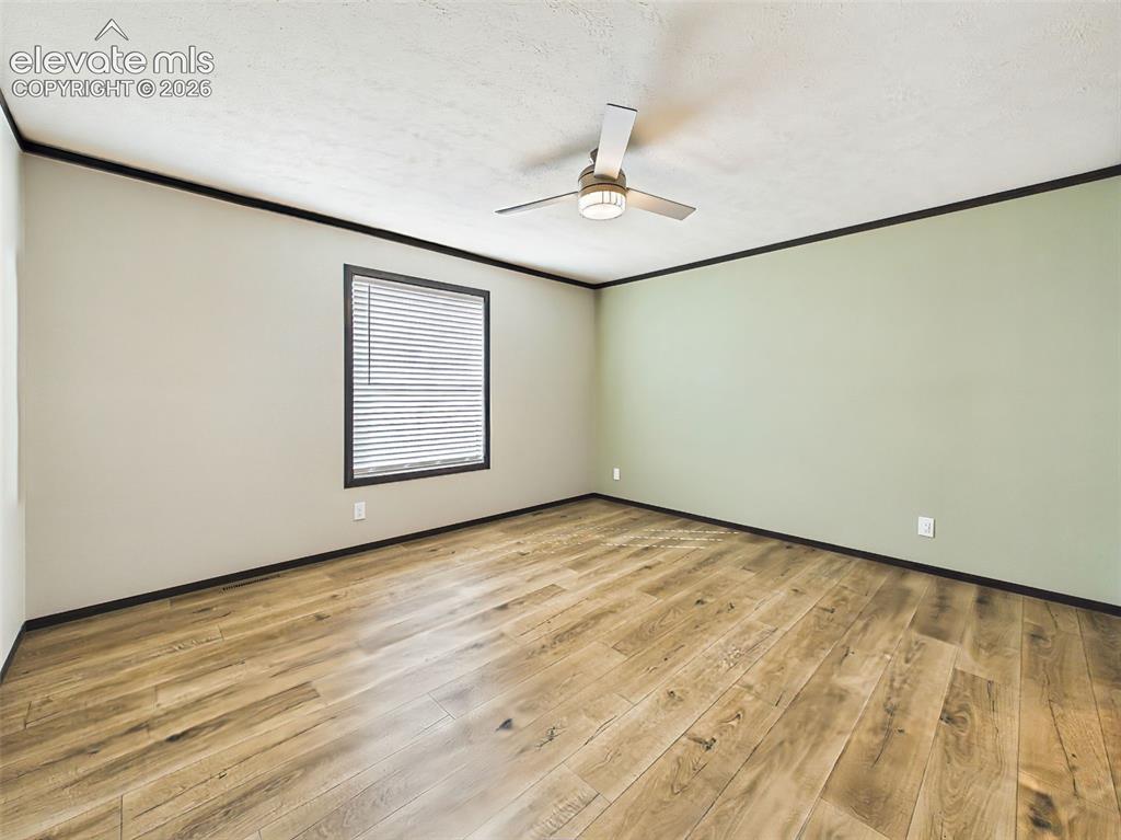 Image 28 of 50: Primary Bedroom – Expansive primary bedroom featuring wood-style flooring, 