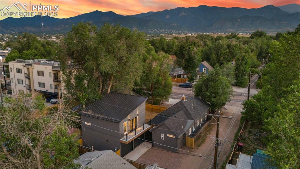 Image 38 of 38: Bird