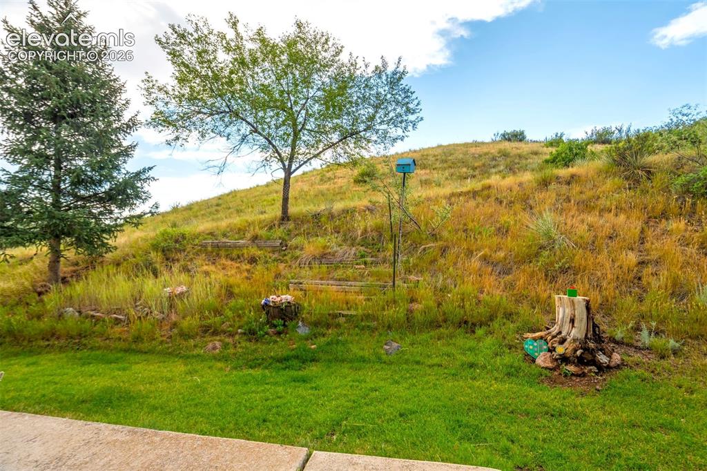 Image 41 of 43: Yard