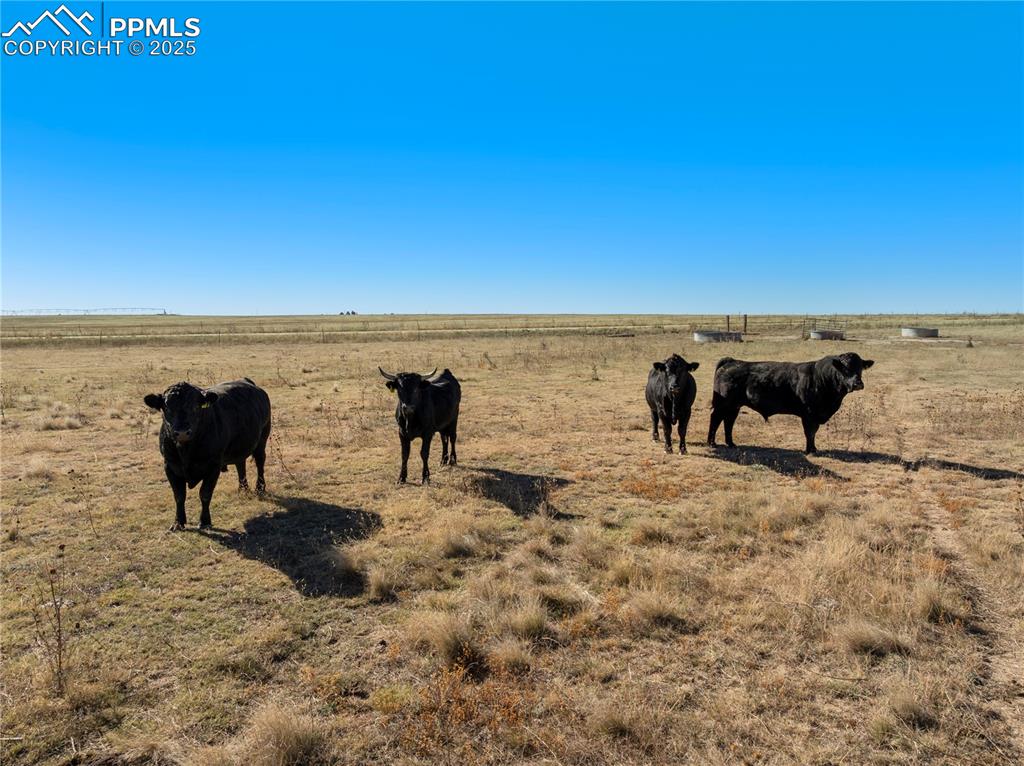 Image 23 of 28: Other