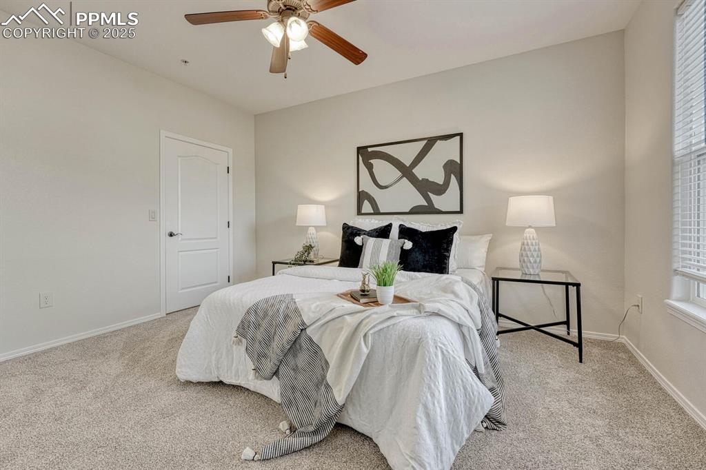 Image 6 of 27: New carpeted bedroom featuring a ceiling fan and multiple windows