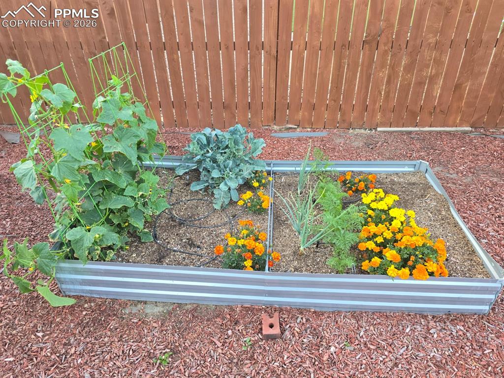 Image 30 of 31: Other