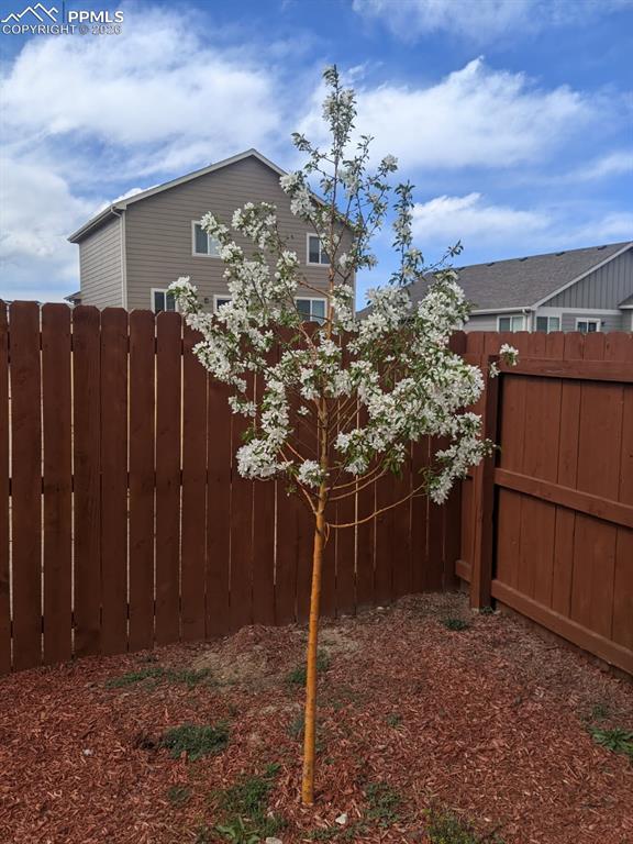 Image 31 of 31: Yard