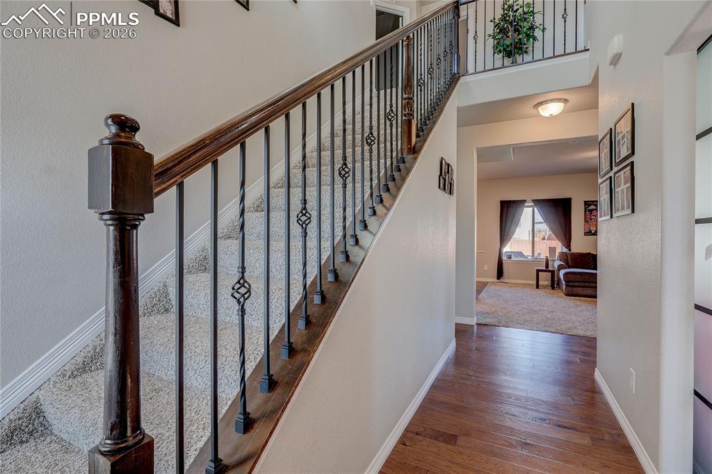 Image 8 of 31: Other