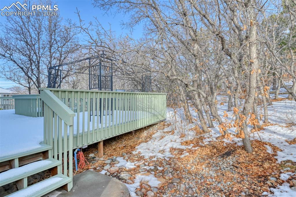 Image 3 of 46:  back yard