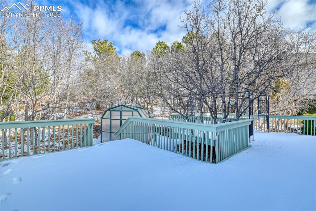 Image 4 of 46: back yard