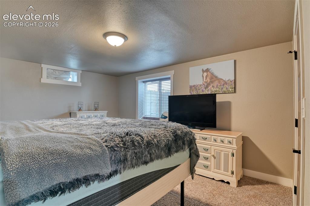Image 40 of 50: Bedroom with carpet floors and a textured ceiling