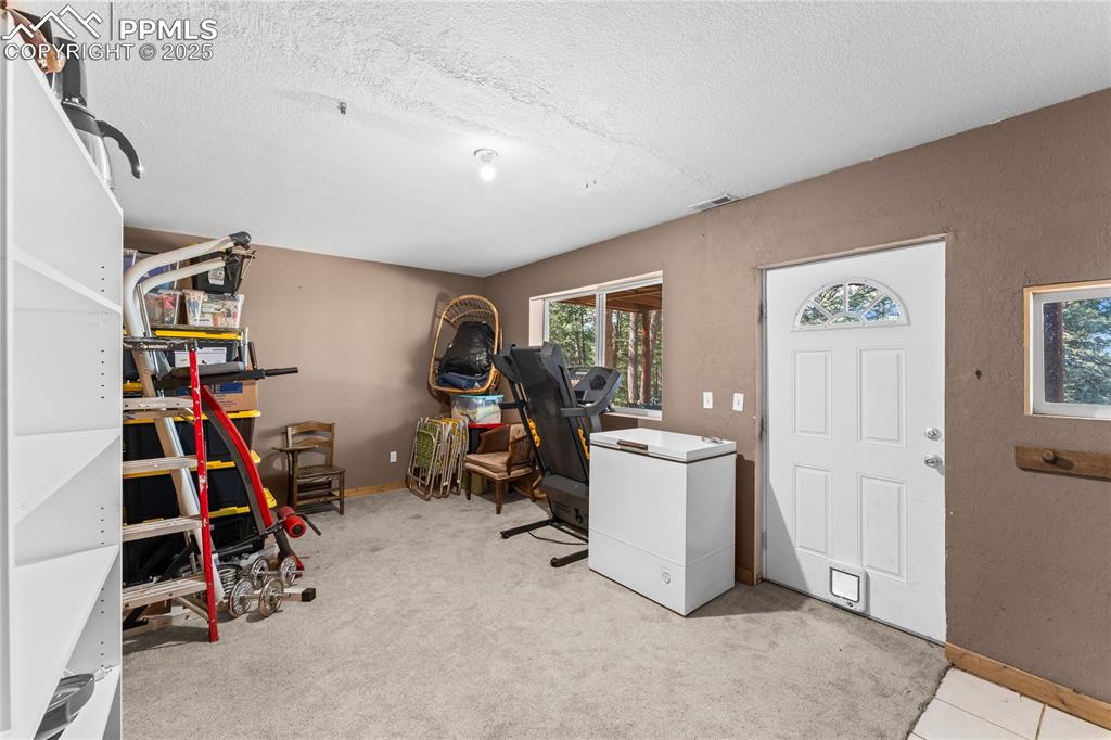 Image 23 of 39: Downstairs family room with walk out