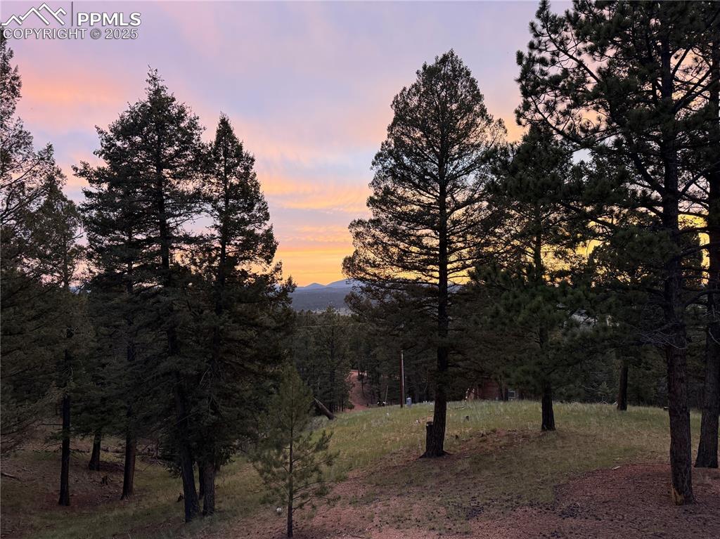 Image 39 of 39: View of mountain background