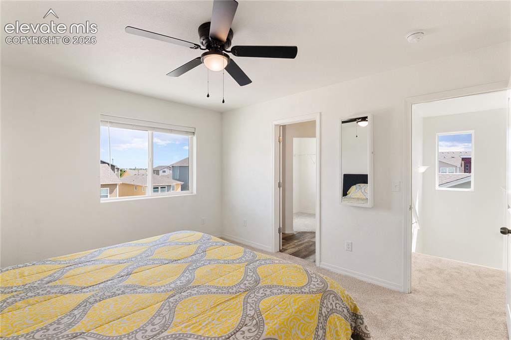 Image 17 of 37: Master Bedroom