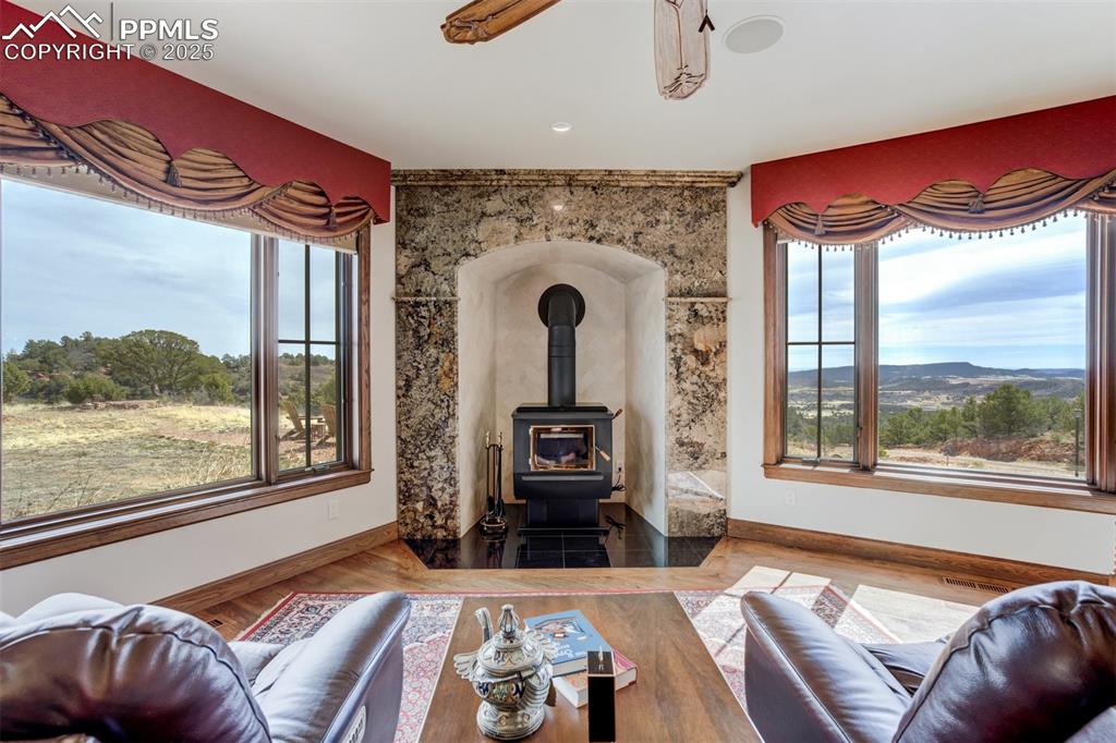 Image 7 of 50: Wood stove with granite surround