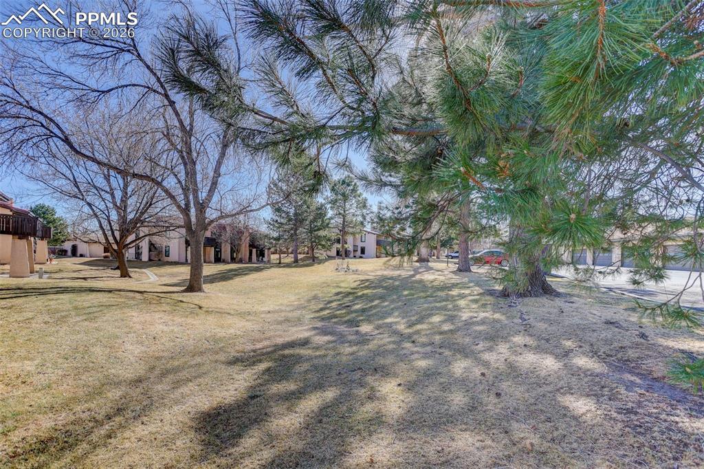 Image 26 of 29: Serene Park-Like Community Setting