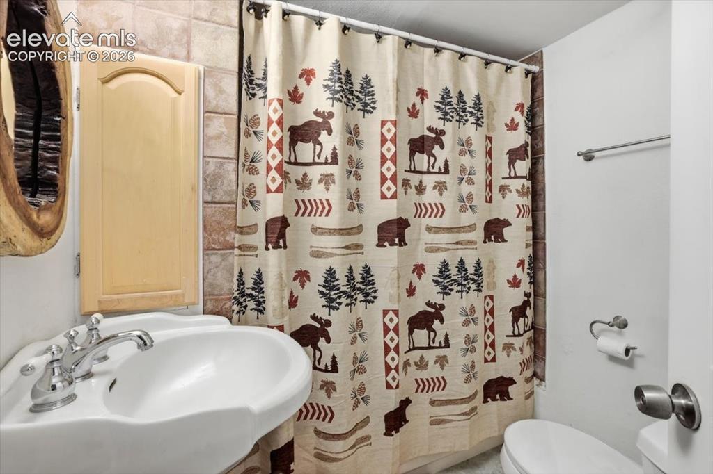 Image 40 of 50: Basement bathroom