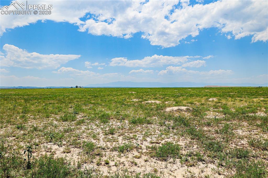 Image 26 of 35: No Description Available